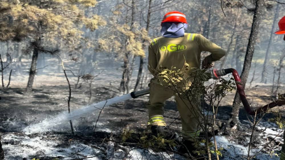 Kastamonu&rsquo;daki orman yangını s&ouml;nd&uuml;r&uuml;ld&uuml;

