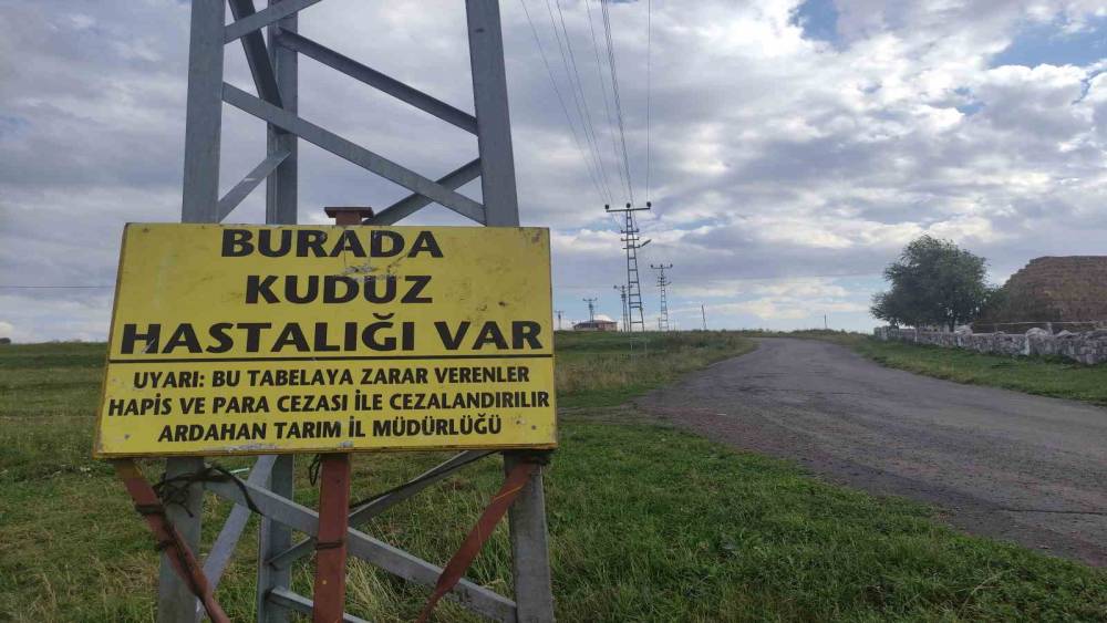 Kuduz nedeniyle mahalleye giriş &ccedil;ıkışlar yasaklandı
