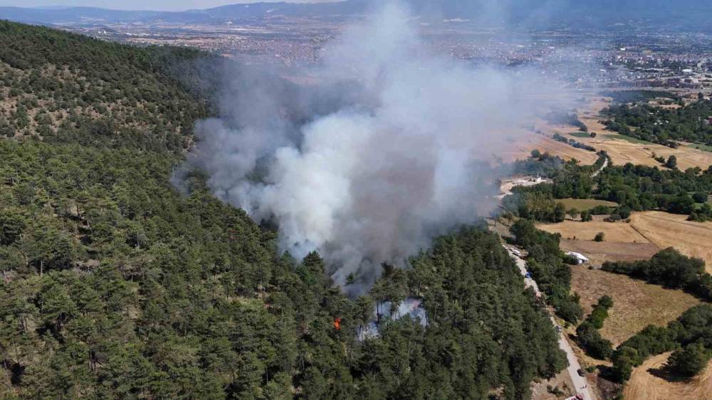 Bolu&rsquo;daki orman yangını kontrol altına alındı

