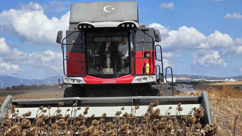 Bandırma&rsquo;da kaymakam tarlaya indi, ay&ccedil;i&ccedil;eği hasadına katıldı
