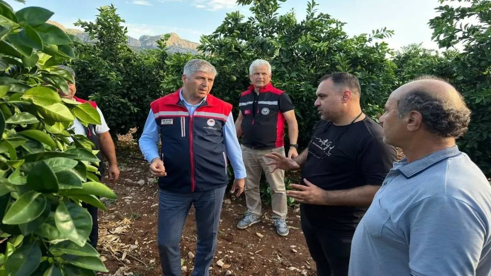 Adana&rsquo;da dolu vuran tarım arazilerinde incelemeler başladı
