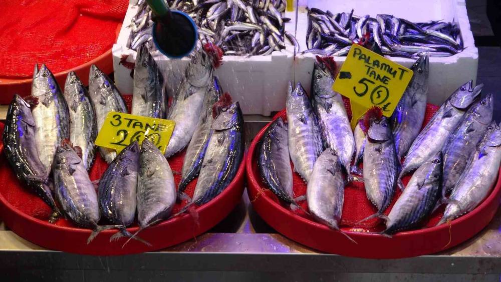 Trabzon&rsquo;da avlanan palamut miktarı 12 bin kilograma ulaştı
