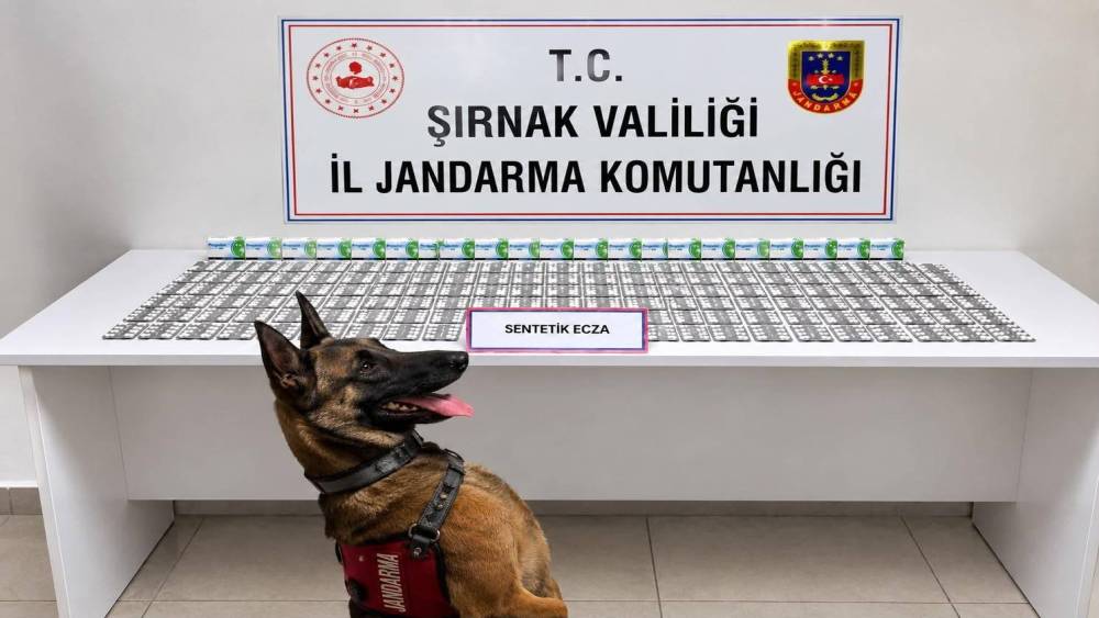 Şırnak&rsquo;ta jandarmadan uyuşturucu ve aranan şahıslara operasyon: 12 tutuklama

