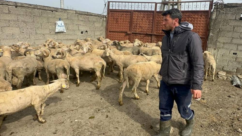 Kurbanlık parasıyla evlenmişti şimdi doğacak bebeği i&ccedil;in kullanacak
