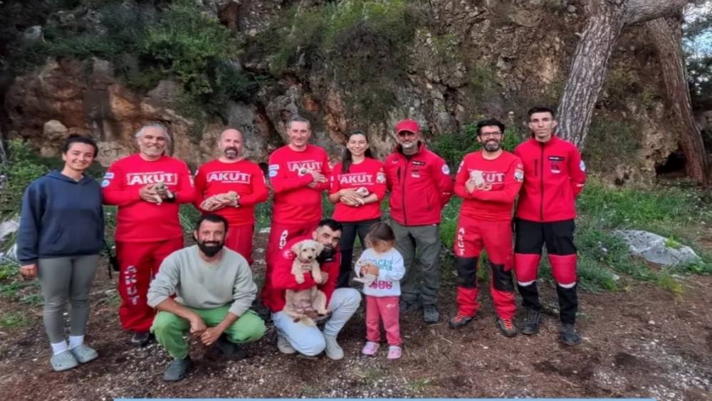 Kaya i&ccedil;erisindeki yarığa d&uuml;şen 6 yavru k&ouml;pek i&ccedil;in film gibi kurtarma operasyonu
