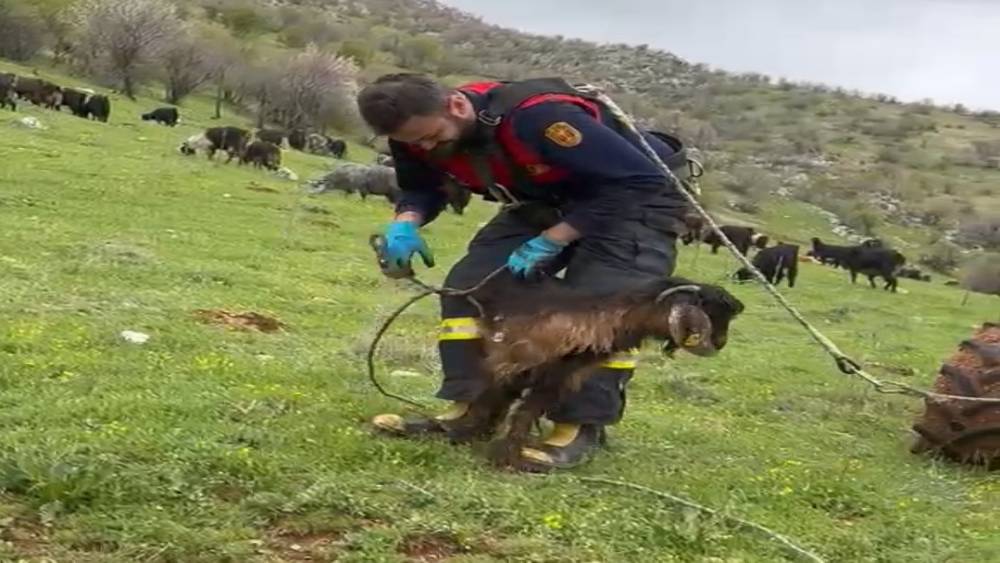 Kuyuya d&uuml;şen ke&ccedil;iyi itfaiye kurtardı
