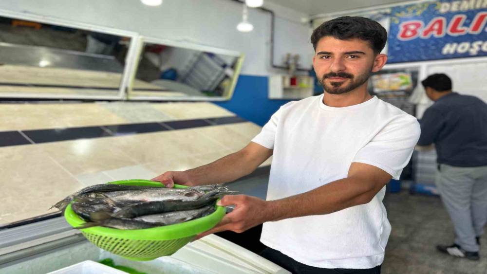 İnci kefali tezg&acirc;hlardaki yerini aldı
