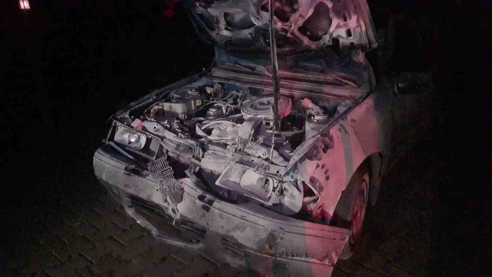 Otomobil karayoluna &ccedil;ıkan 3 mandaya &ccedil;arptı: 1&rsquo;i ağır, 2 yaralı
