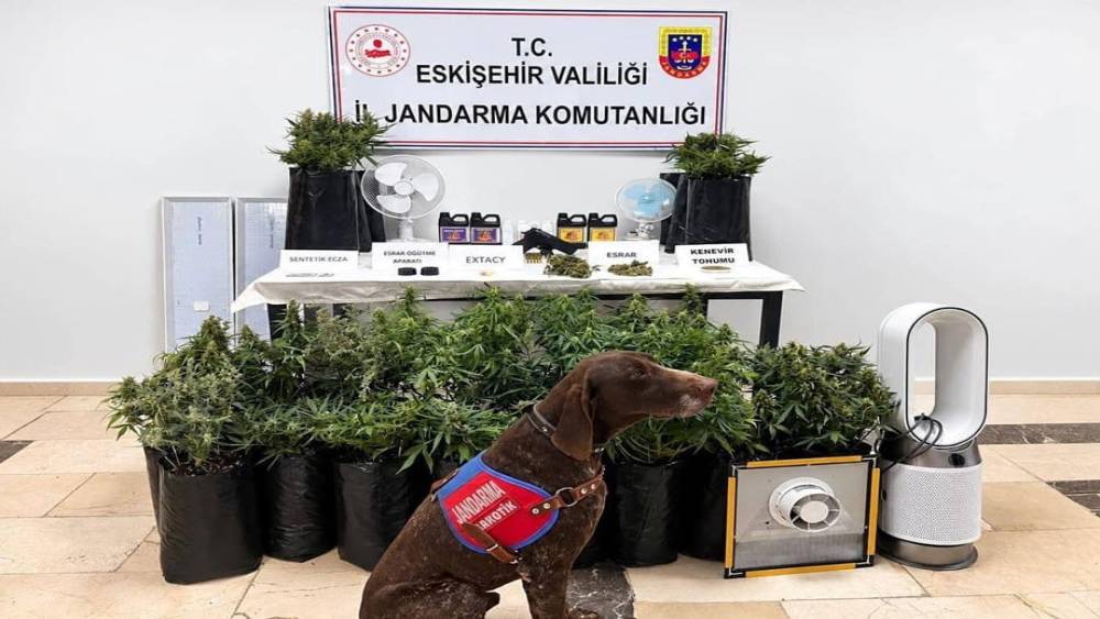 Eskişehir&rsquo;de 21 poşet kenevir ve &ccedil;ok sayıda uyuşturucu madde jandarma tarafından ele ge&ccedil;irildi
