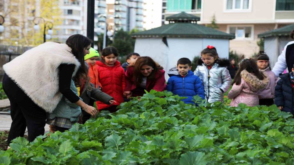 Minik öğrenciler ata tohumlarını zihinlere ekti
