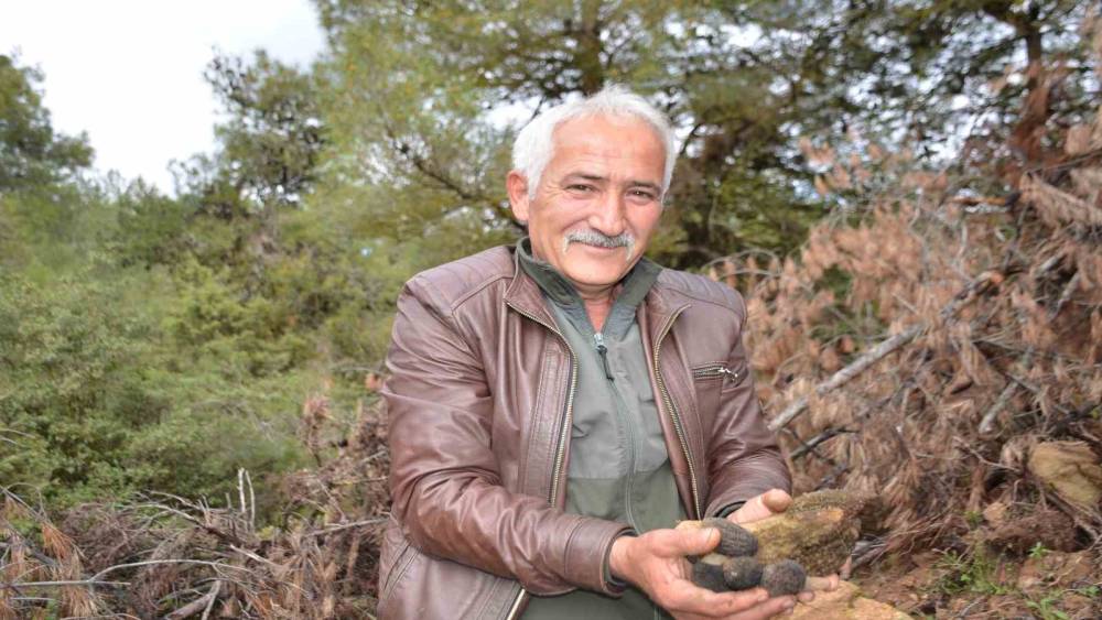 Yanan ormanlık alanda doğanın c&ouml;mertliği k&ouml;yl&uuml;leri sevindirdi: Fiyatı gram altında yarışıyor

