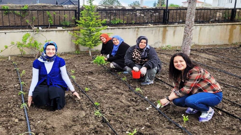 Altıntaş&rsquo;ta &ouml;ğretmenler domates fidelerini toprakla buluşturdu
