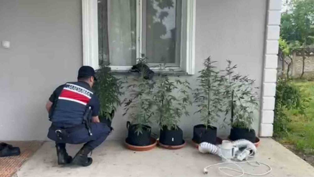 Evini kenevir bah&ccedil;esine &ccedil;eviren şahıs yakalandı
