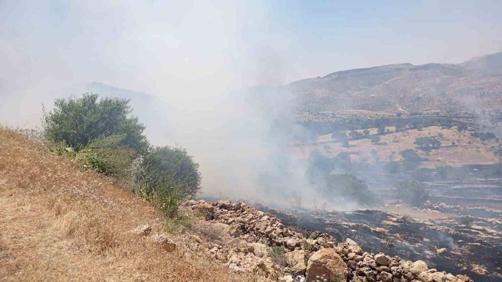 Mardin&rsquo;de ormanlık alanda &ccedil;ıkan yangına m&uuml;dahale ediliyor
