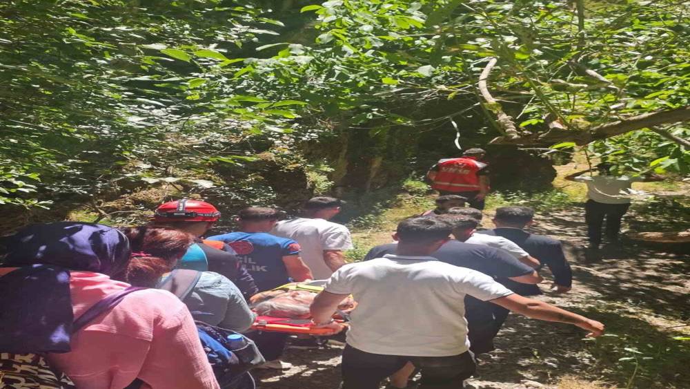 Hakk&acirc;ri&rsquo;de kayalıklardan d&uuml;şen vatandaşı AFAD ve UMKE kurtardı
