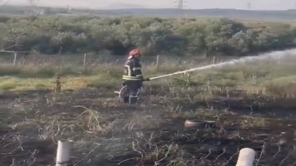 Osmaniye&rsquo;de tankerin lastiklerinden &ccedil;ıkan yangın zeytin bah&ccedil;esine sı&ccedil;radı
