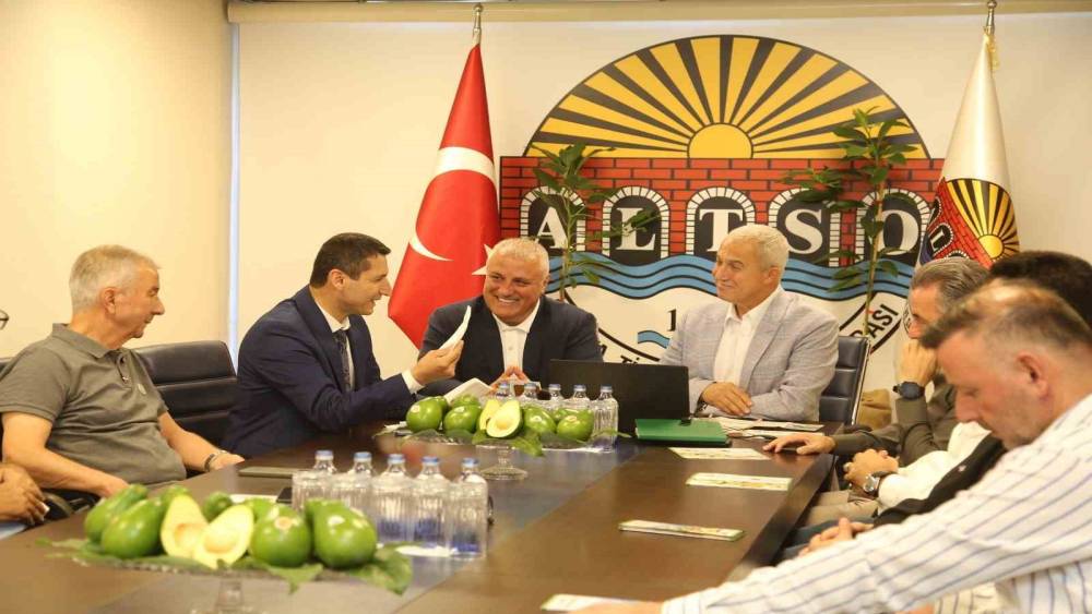 Alanya avokadosunun Avrupa Birliği coğrafi işaret başvurusu ger&ccedil;ekleştirildi
