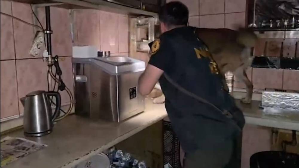 Bitlis&rsquo;te uyuşturucu operasyonunda 11 tutuklama
