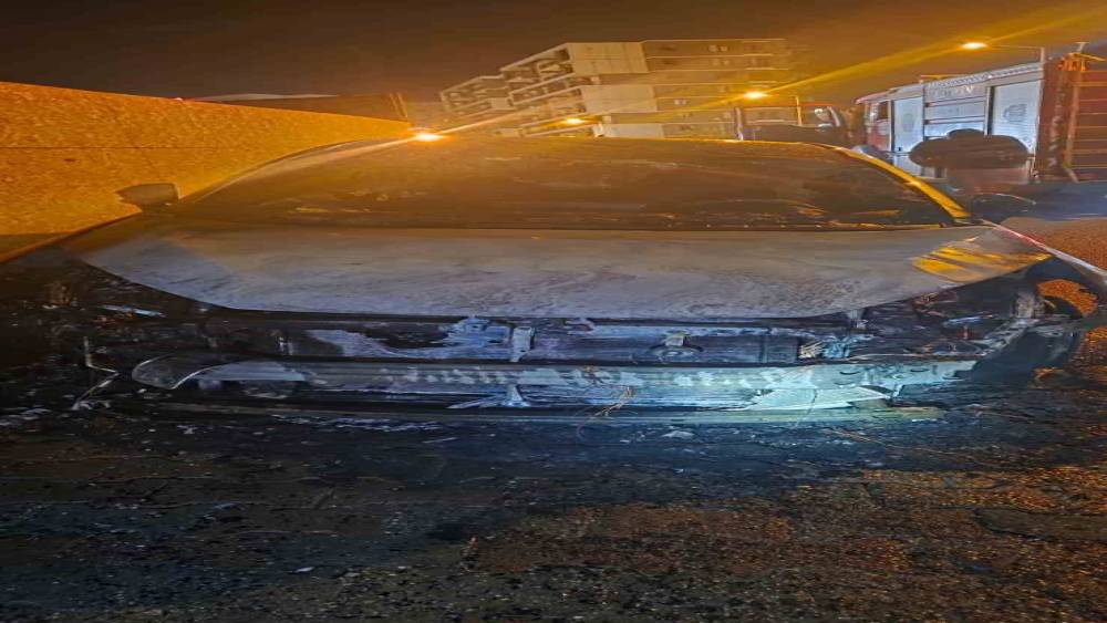 Batman&rsquo;da park halindeki ara&ccedil; alev aldı
