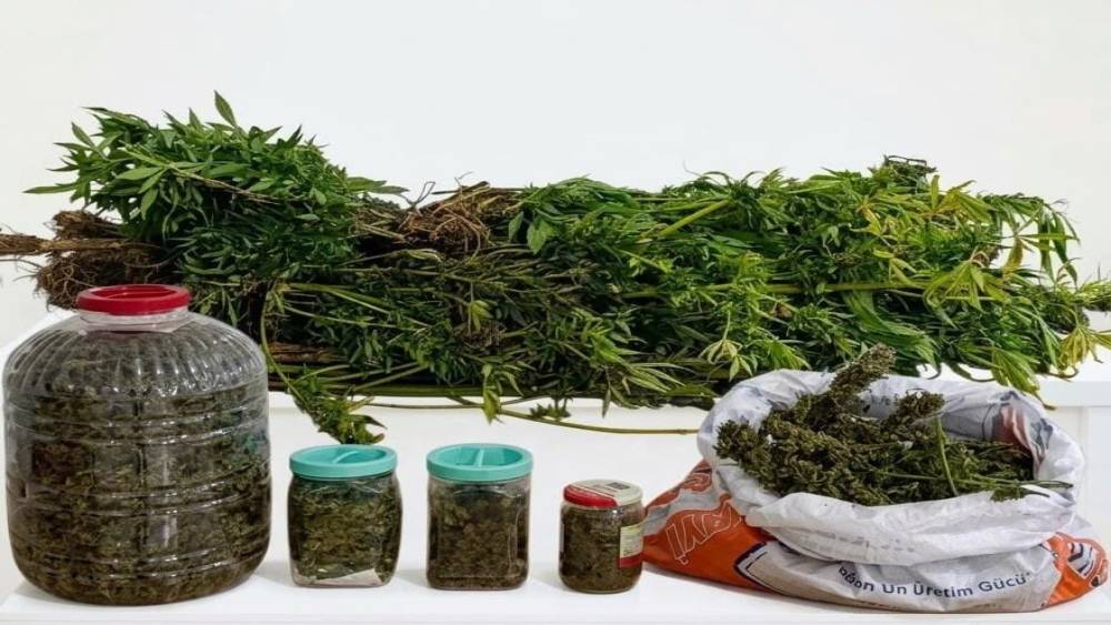 Ordu&rsquo;da uyuşturucu operasyonunda 1 tutuklama
