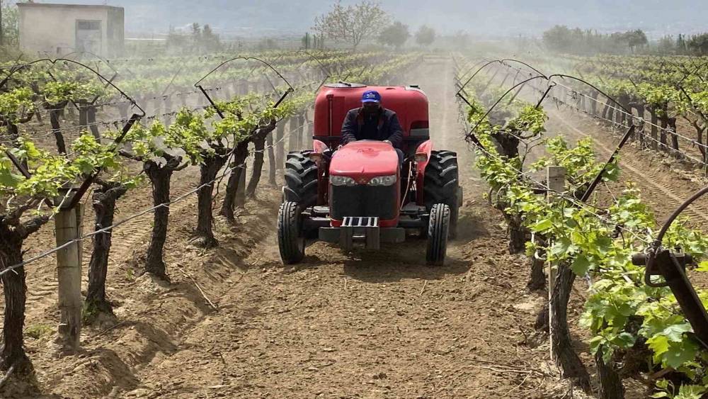 Alaşehir&rsquo;de "3K Bağcılık" ile kalıntısız &uuml;retim başladı
