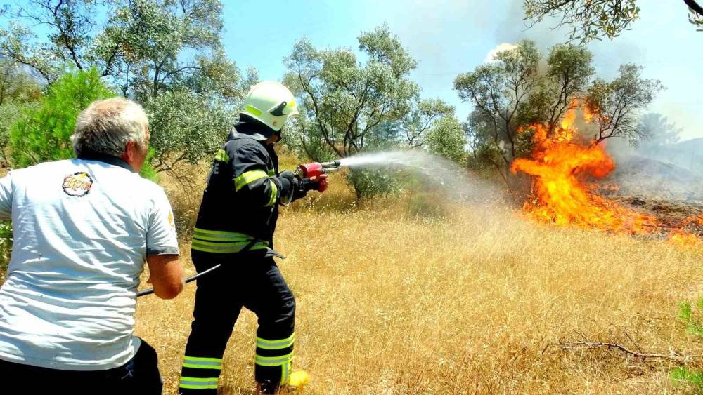 Menteşe&rsquo;de zeytinlik yangını
