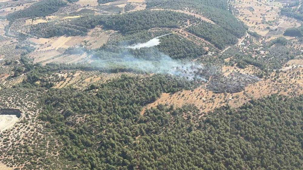 Milas&rsquo;ta &ccedil;ıkan zirai yangın kısa s&uuml;rede kontrol altına alındı
