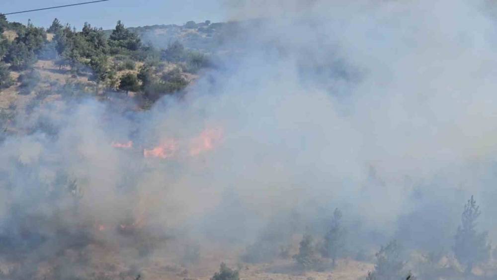 Balıkesir&rsquo;de otluk ve koruluk alanda yangın
