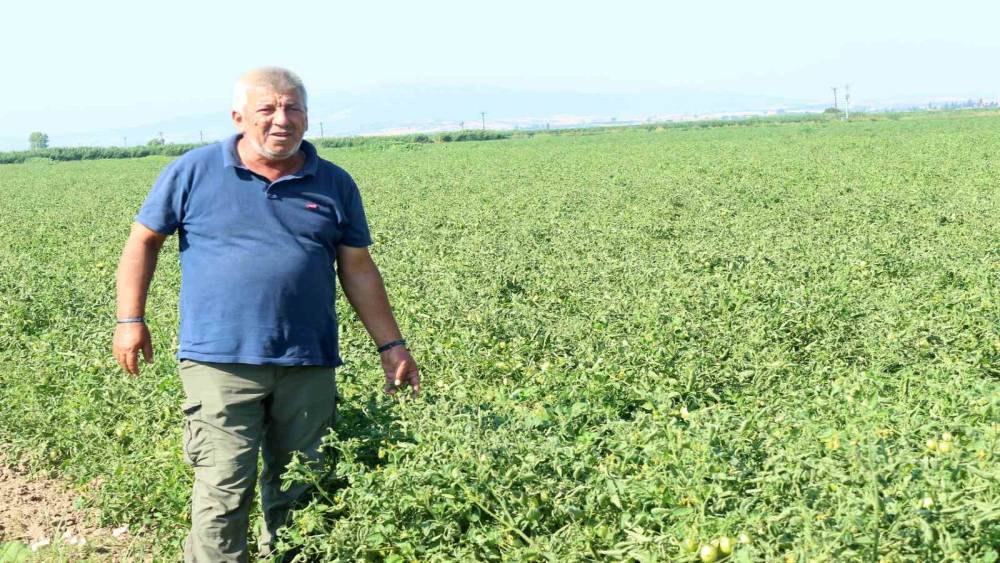 Manyas G&ouml;l&uuml;&rsquo;nden gelen ila&ccedil;lı su sorununa &uuml;retici &ccedil;&ouml;z&uuml;m bekliyor
