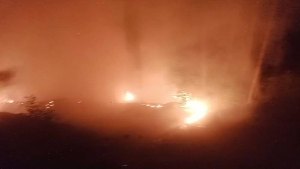Alanya&rsquo;da ormanlık alan yangınında 2 d&ouml;n&uuml;m alan zarar g&ouml;rd&uuml;
