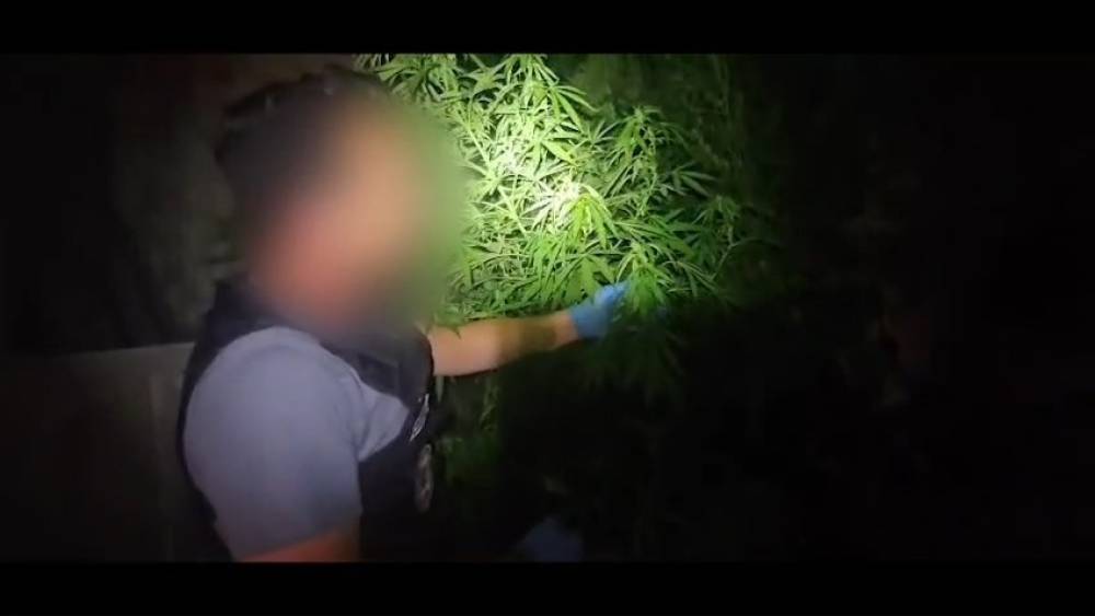 Niğde&rsquo;de uyuşturucu operasyonu: 1 ş&uuml;pheli tutuklandı
