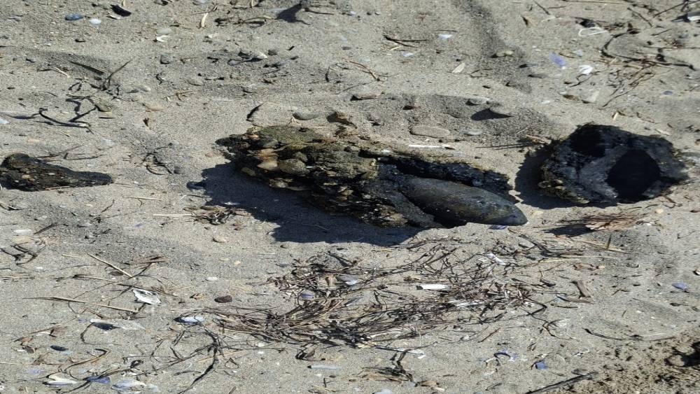 &Ccedil;anakkale&rsquo;de plajda savaştan kalma olduğu değerlendirilen askeri m&uuml;himmat bulundu
