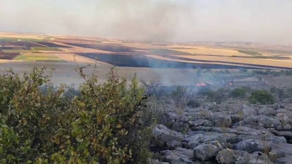 Besni&rsquo;de ormanlık alanda &ccedil;ıkan yangın korkuttu
