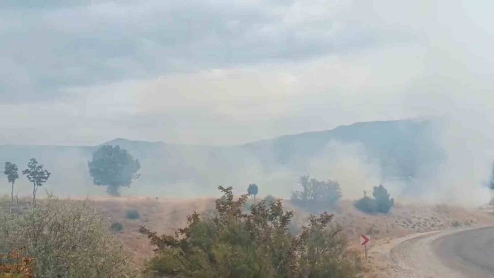 Bolu&rsquo;da arazi yangını ormanlık alana ulaşmadan s&ouml;nd&uuml;r&uuml;ld&uuml;
