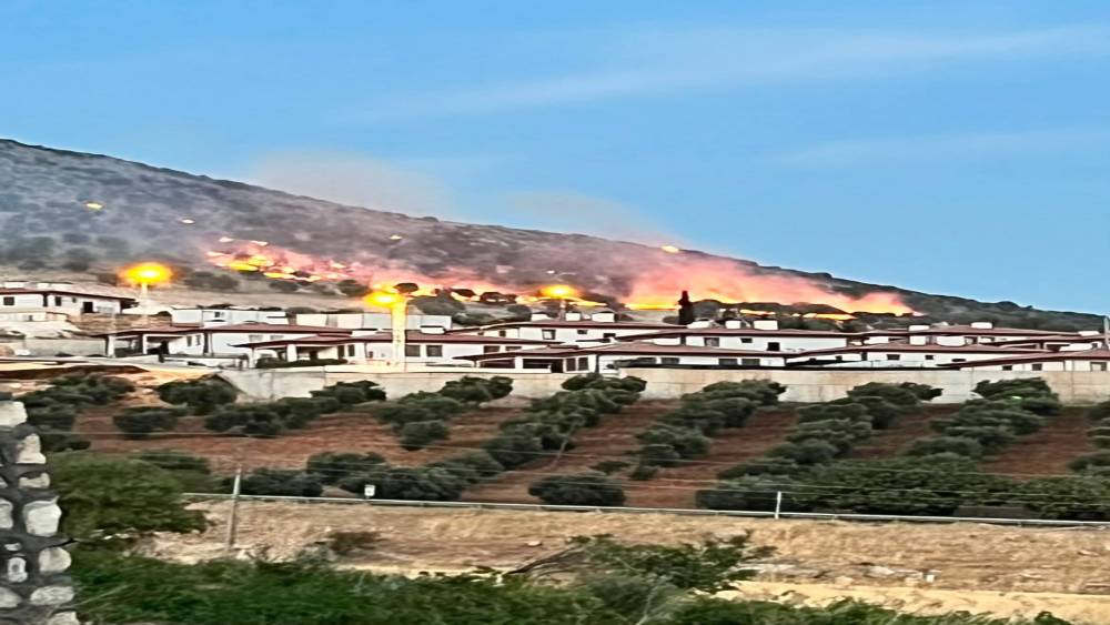 Adıyaman&rsquo;da ormanlık alanda korkutan yangın
