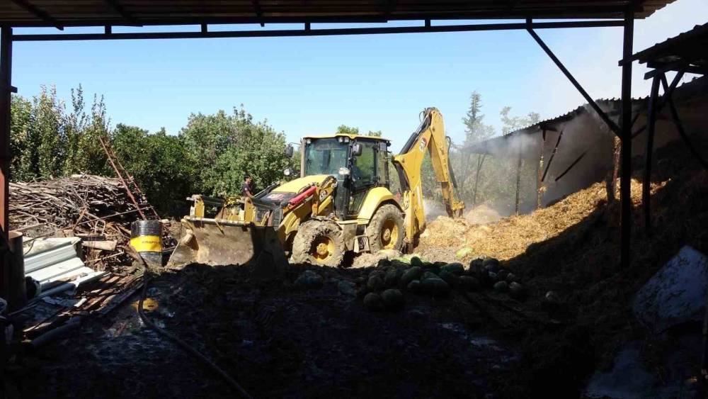 Antalya&rsquo;da 2 yıl arayla ikinci kez yanan ahırda hayvanlar telef oldu
