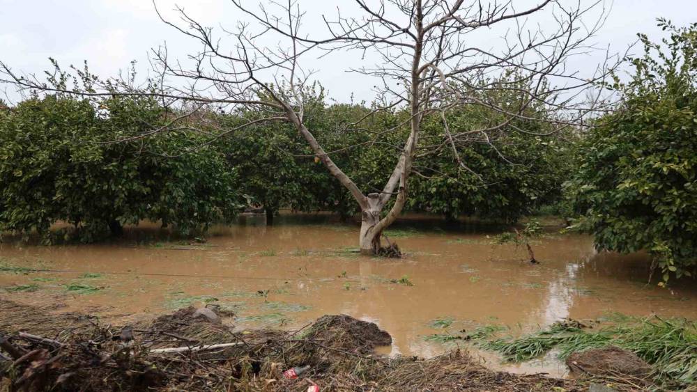 Kuşadası&rsquo;nda bah&ccedil;eler g&ouml;le d&ouml;nd&uuml;, ağa&ccedil;lar sular altında kaldı
