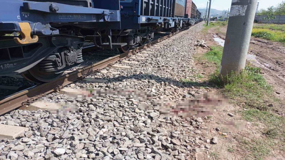 Osmaniye&rsquo;de y&uuml;k treninin &ccedil;arptığı kişi yaralandı
