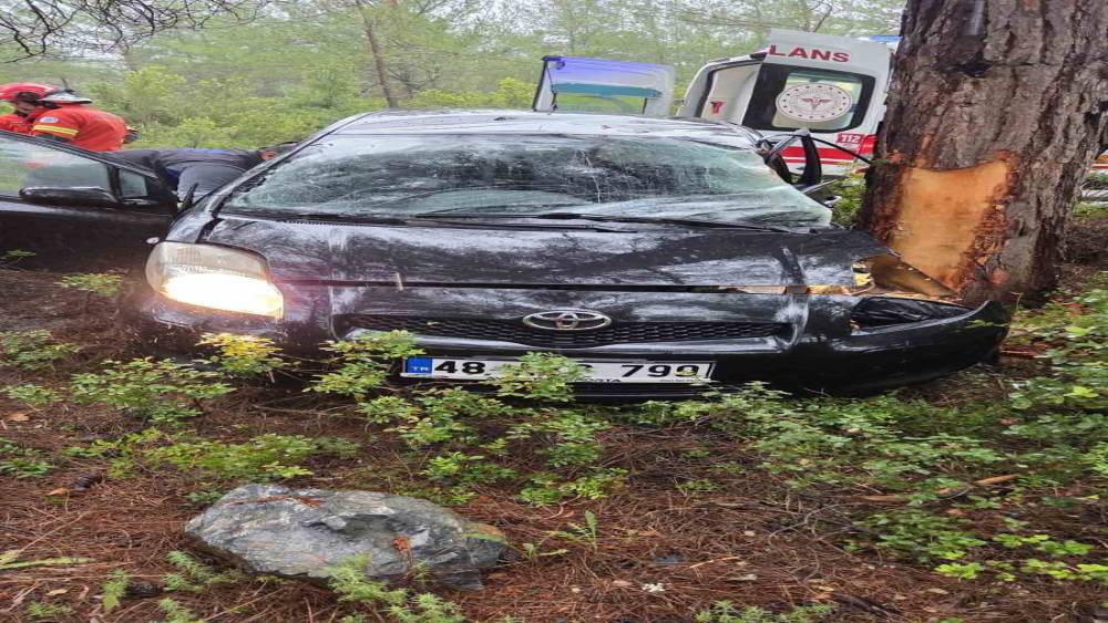 Kontrolden &ccedil;ıkan otomobil ormanlık alana u&ccedil;tu: 1 yaralı
