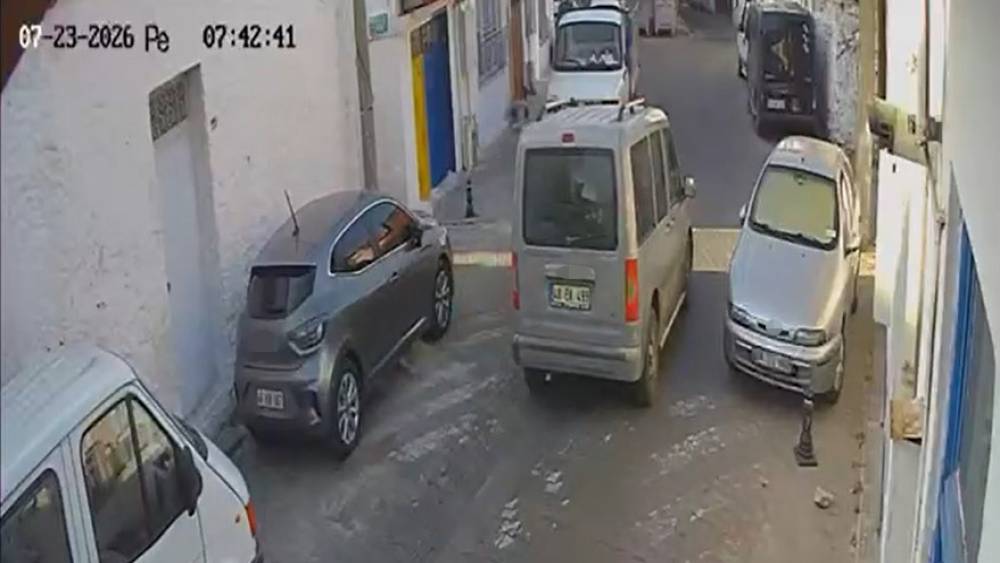 İki sokak kedisini ezdi, arkasına bile bakmadan uzaklaştı
