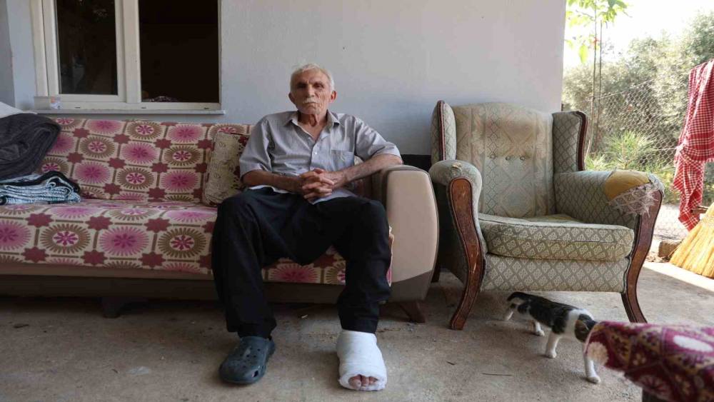 Yaşlı adama &ccedil;arpıp hi&ccedil;bir şey olmamış gibi yoluna devam etti
