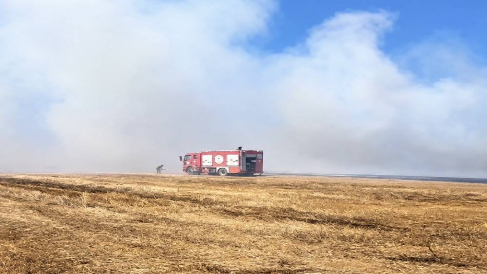 Tekirdağ&rsquo;da anız yangını

