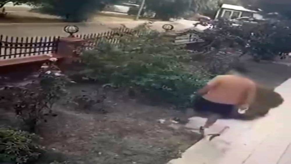 İzmir&rsquo;de k&ouml;peğini gezdiren şahsın yavrulu kediye tekmeli saldırısı kamerada
