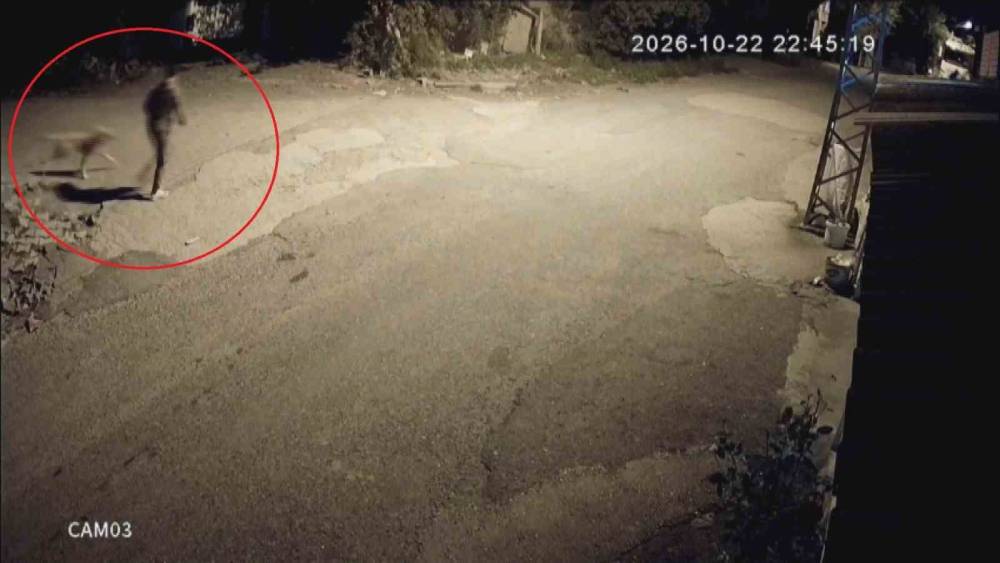 Motosikletle gelip k&ouml;peği &ccedil;alan hırsızlara sitem: "K&ouml;pek &ccedil;almak nedir"

