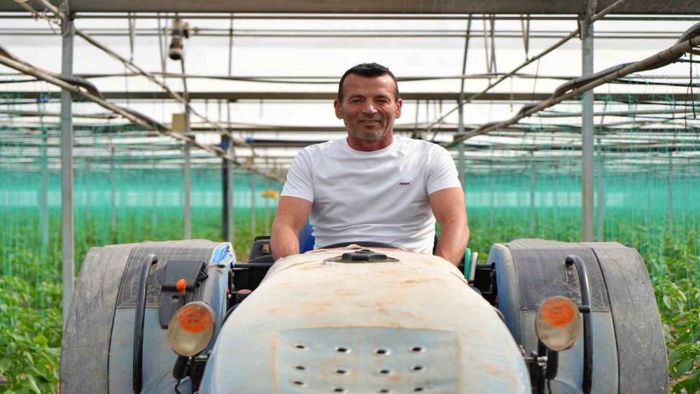 40 yıldır biberlerini bebek gibi b&uuml;y&uuml;t&uuml;yor, ilk hasadı bekliyor
