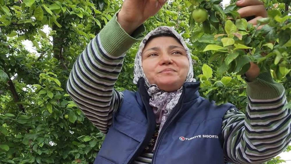 Yaz meyvelerinde bereket &uuml;reticinin y&uuml;z&uuml;n&uuml; g&uuml;ld&uuml;rd&uuml;
