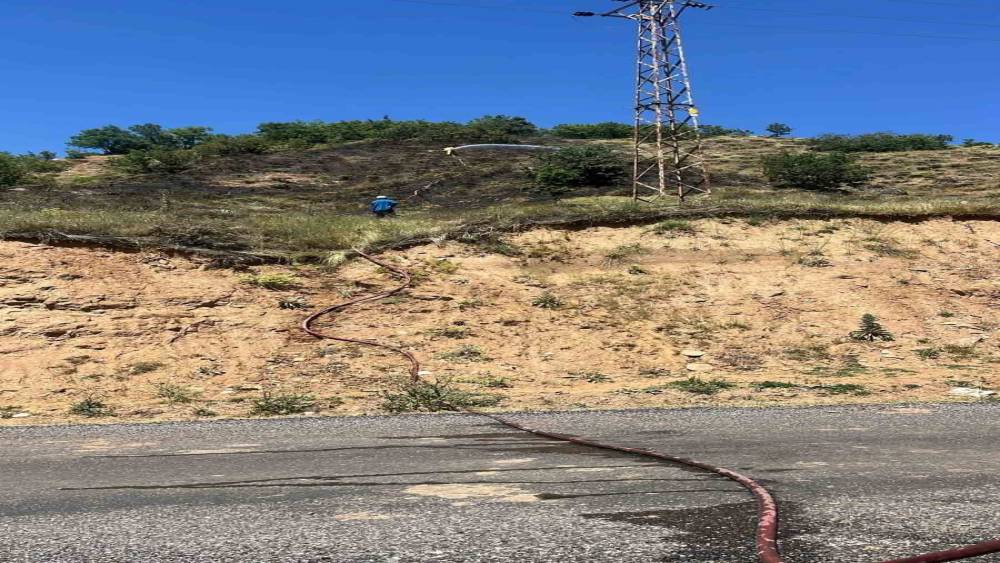 Gen&ccedil;&rsquo;te &ccedil;ıkan orman yangını b&uuml;y&uuml;meden s&ouml;nd&uuml;r&uuml;ld&uuml;
