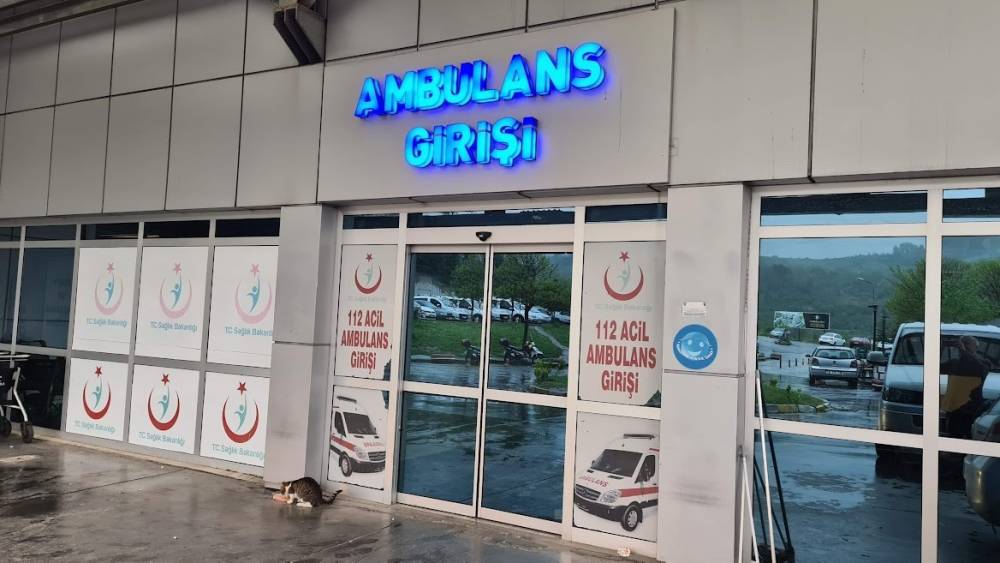 Ihlamur ağacından d&uuml;şen kadın yaralandı
