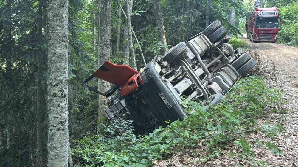 Orman yolunda şarampole devrilen kamyonun s&uuml;r&uuml;c&uuml;s&uuml; yaralandı
