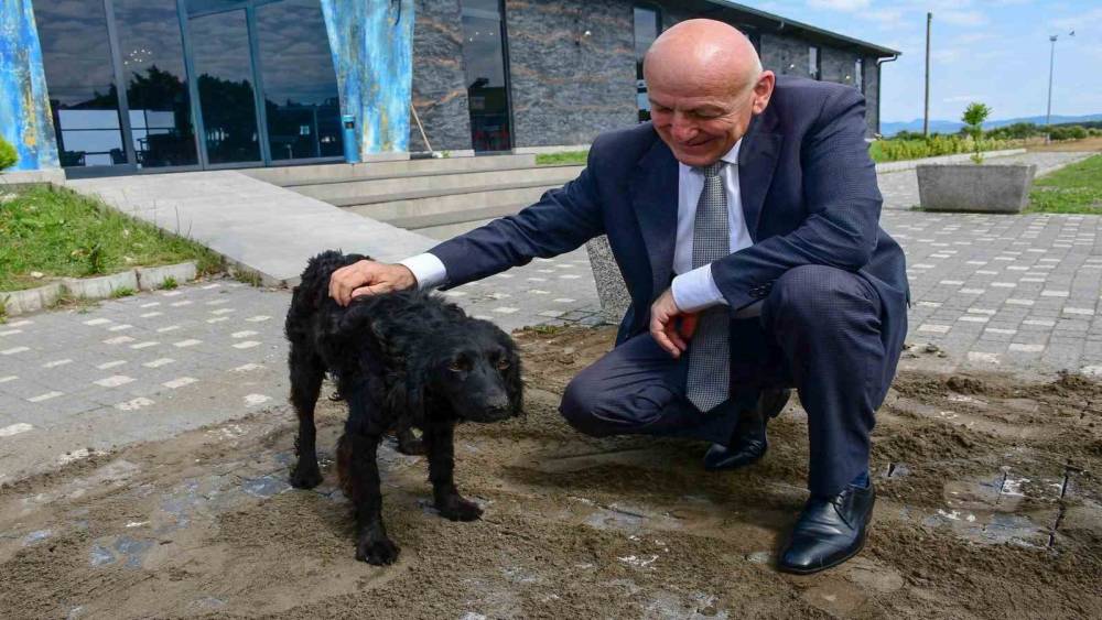 Başkan Kul: "Bin hayvan kapasiteli modern tesisi kısa s&uuml;rede tamamlayacağız"
